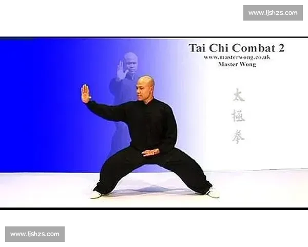 太极拳与咏春拳实战理念内功外劲攻防体系深度对比解析全面研究